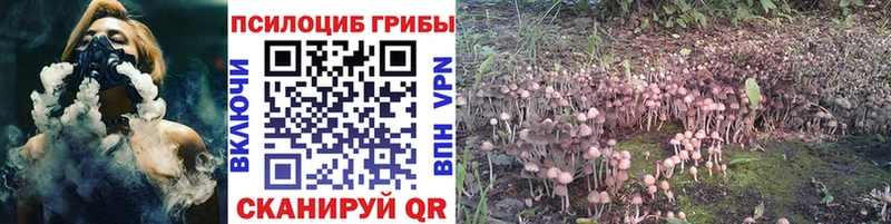 купить наркотики сайты Спасск-Дальний мега ССЫЛКА Псилоцибиновые грибы прущие грибы