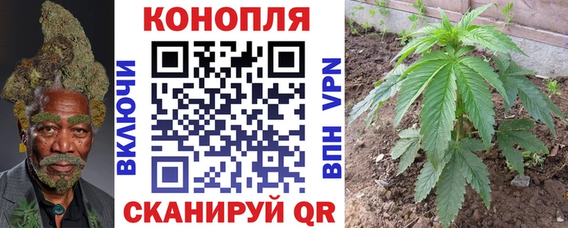 Бошки марихуана OG Kush  blacksprut онион  Спасск-Дальний 
